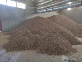 432.240 KG YER FISTIĞI