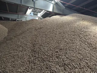 979.360 KG YER FISTIĞI 